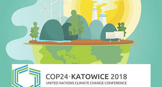 COP 24