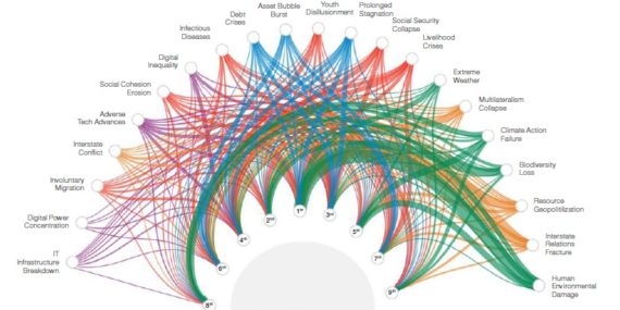 global risks network